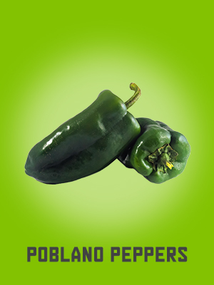 poblano-peppers